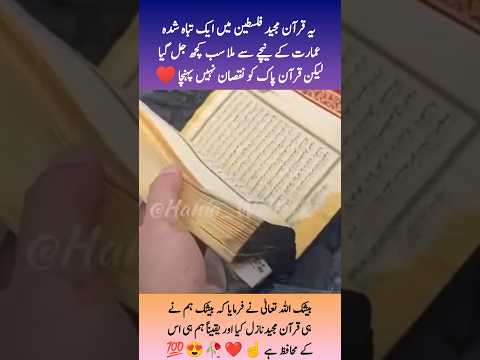 یہ قرآن مجید ایک تباہ شدہ عمارت کے نیچے سے ملا سب کچھ جل گیا لیکن قرآن مجید کو نقصان نہیں پہنچا ☝️😍💯