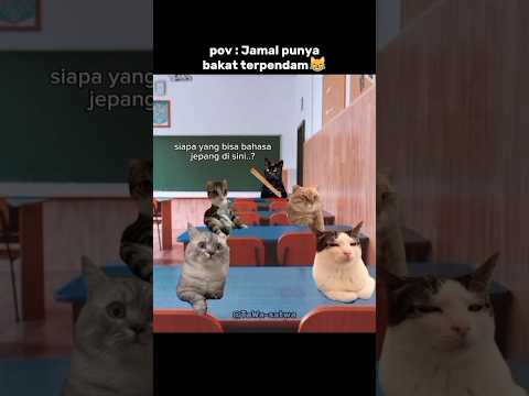 si Jamal bisa bahasa jepang😹 #kucing #kucinglucu #hiburan #catmemes #funny #vidio #lawak #catlovers