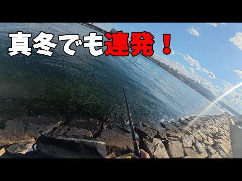 真冬でも大物連発！釣り方解説コツを紹介します。