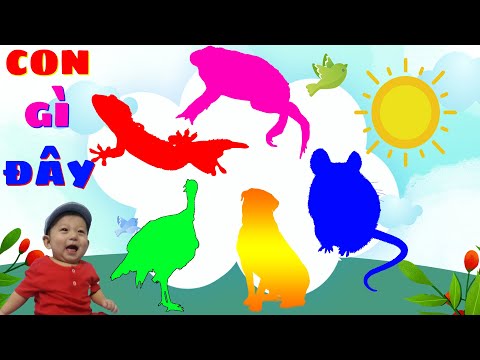 Con Gì Đây | Dạy Bé Học Các Con Vật | Động Vật Nông Trại + Động Vật Biển | KidsEdu TV