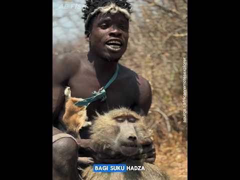 Momen unik Konsumsi monyet Suku adza #animals