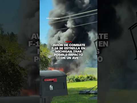 Avión de combate F-16 se estrella en Michigan tras posible impacto con un ave