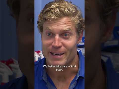 This Parrot's Unbelievably Overgrown Beak Needs a Trim! ?| Bondi Vet #shorts