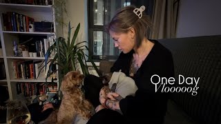 Один наш день | Уборка🧹Подарок от Маруси🎁 Готовим вместе🍽️Пикник в кровати🧺