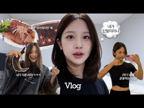 VLOGㅣ추워지니 입맛이 돌고 머리를 자르고싶어져요💇🏻‍♀️ ㅣ혼자보내는 연말(말많음주의)🗣️, 5년만에 자른 단발, 겟레디윗미, 루프탑맛집