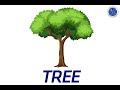 Understanding Basic English and Vietnamese Phrases