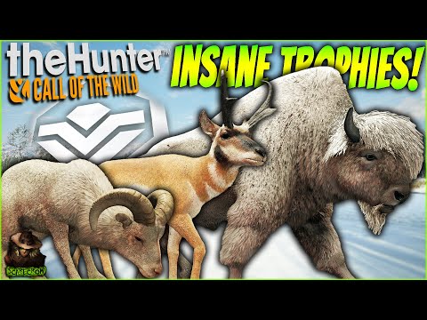 INSANE Albino Bighorn Sheep, Diamond Pronghorn, & More! Call of the wild