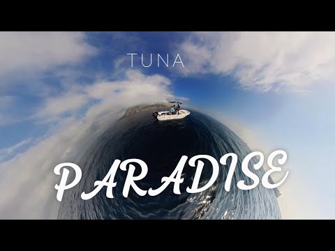 Tuna Paradise with the BEST bait