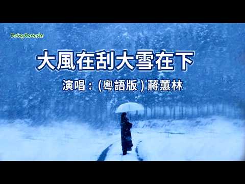 風在刮雪在下 (粵語版) 蔣蕙林-演唱 KARAOKE