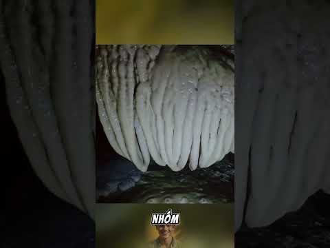 Khám phá vùng núi CẤM , nhóm người gặp cái"kết đắng" lạnh người !!