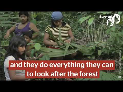 “We’re happy now, the forest is ours”