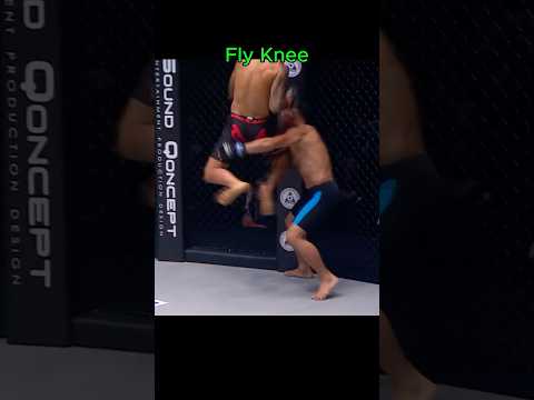 Highlight K.O perfect - Đòn gối bay đẹp #mma #ufc #muaythai #taekwondo #kickboxing #boxing #muay
