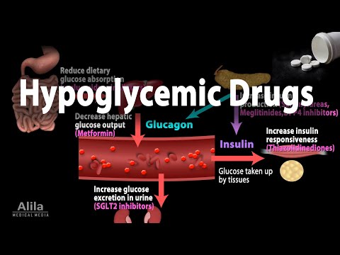 Pharmacology: Oral Hypoglycemic Drugs, Animation