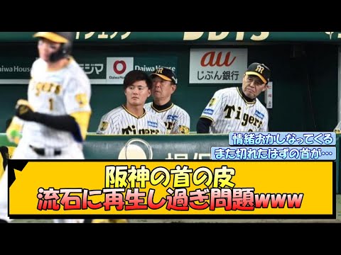 阪神の首の皮 流石に再生し過ぎ問題www【なんJ/2ch/5ch/ネット 反応 まとめ/阪神タイガース/岡田監督】