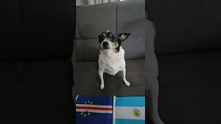 Cabo Verde vs Argentina #worldcup #worldcup2026 #soccerpredictions #roundof32 #caboverde #argentina
