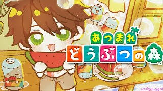 🌴【あつ森/동숲】스위치2로 동숲・スイッチ2のあつ森【NIJISANJI】