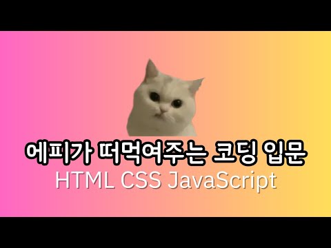 에피가 떠먹여주는 코딩 입문 HTML, CSS, JavaScript - 1강. 강의 소개 & 환경 구축