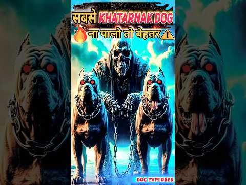 Duniya Ka Sabse Khatarnak Dog🔥 ना पालो तो बेहतर !||#pitbull #dogshorts