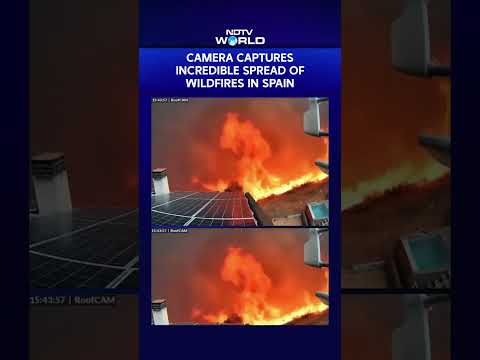 Dramatic Footage Captures Massive Wildfires Sweeping Across Spain