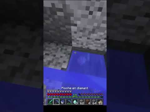 Pactify, Minecraft je suis riche !