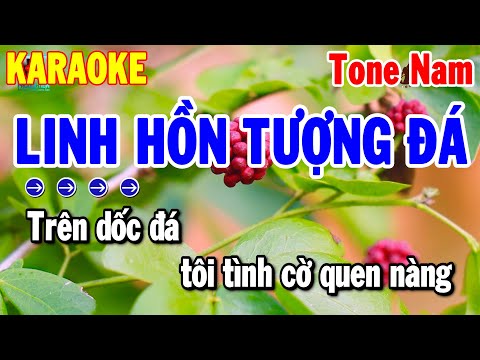 Karaoke Linh Hồn Tượng Đá Tone Nam Nhạc Sống Beat Chuẩn 2025 | Thanh Hải