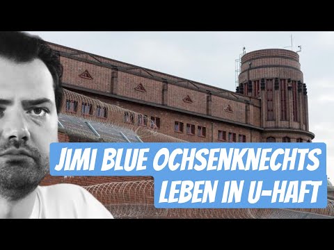 Jimi Blue Ochsenknecht - Untersuchungshaft | Was heisst das???