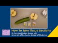 Histology Sectioning Techniques and Guidelines