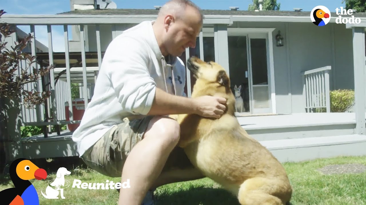 Dog Reunited with Military Dad After 2 Years Overseas Reunited