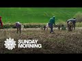 Farm Labor Challenges and Solutions