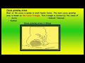 Cocoa Farming and Economic Impact