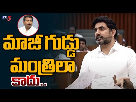 మాజీ గుడ్డు మంత్రిలా కాదు...Minister Nara Lokesh About IT Development In AP | Assembly Session | TV5