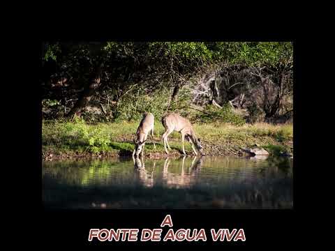 A FONTE DE AGUA VIVA ( UMA LINDA REFLEXÃO PARA A VIDA )