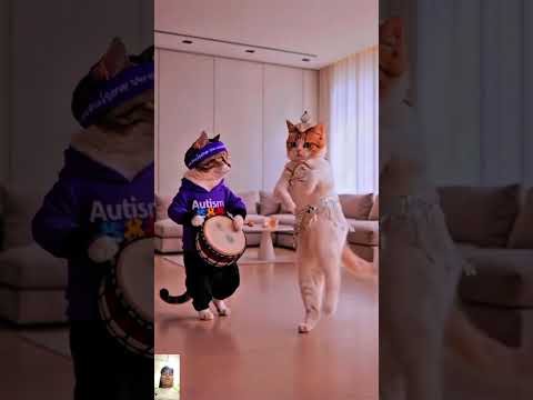 Cats funny dance video😂😂 #growupmyaccount #cat #cutecat #fyp#trending #shorts #meaw