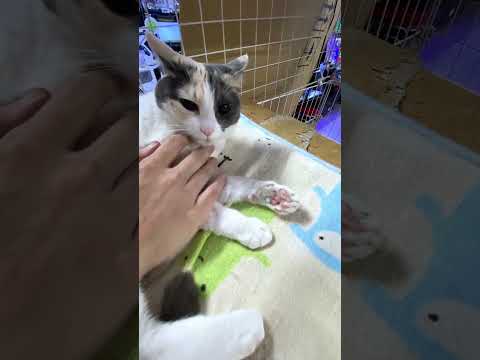 thumbnail_vcuBCqmiABQ