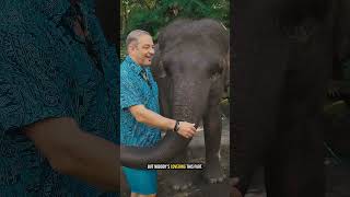 An Elephant Drove Me To Dinner. Now It's Illegal.
