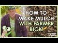 Decomposition and Mulch in Gardening
