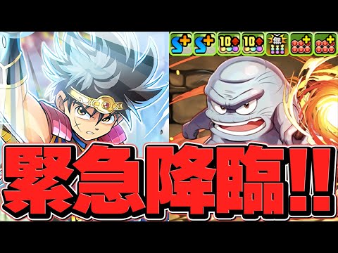 緊急降臨！ダイの大冒険コラボに"ブラス"が出現！初見攻略！報酬で黒メダルゲット！【パズドラ】
