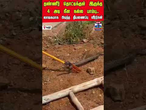 snake | snakevideo | karur