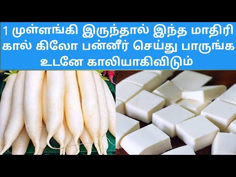 1 முள்ளங்கி இருந்தால் இந்த மாதிரி கால் கிலோ பன்னீர் செய்து பாருங்க உடனே காலியாகிவிடும்  #healthy