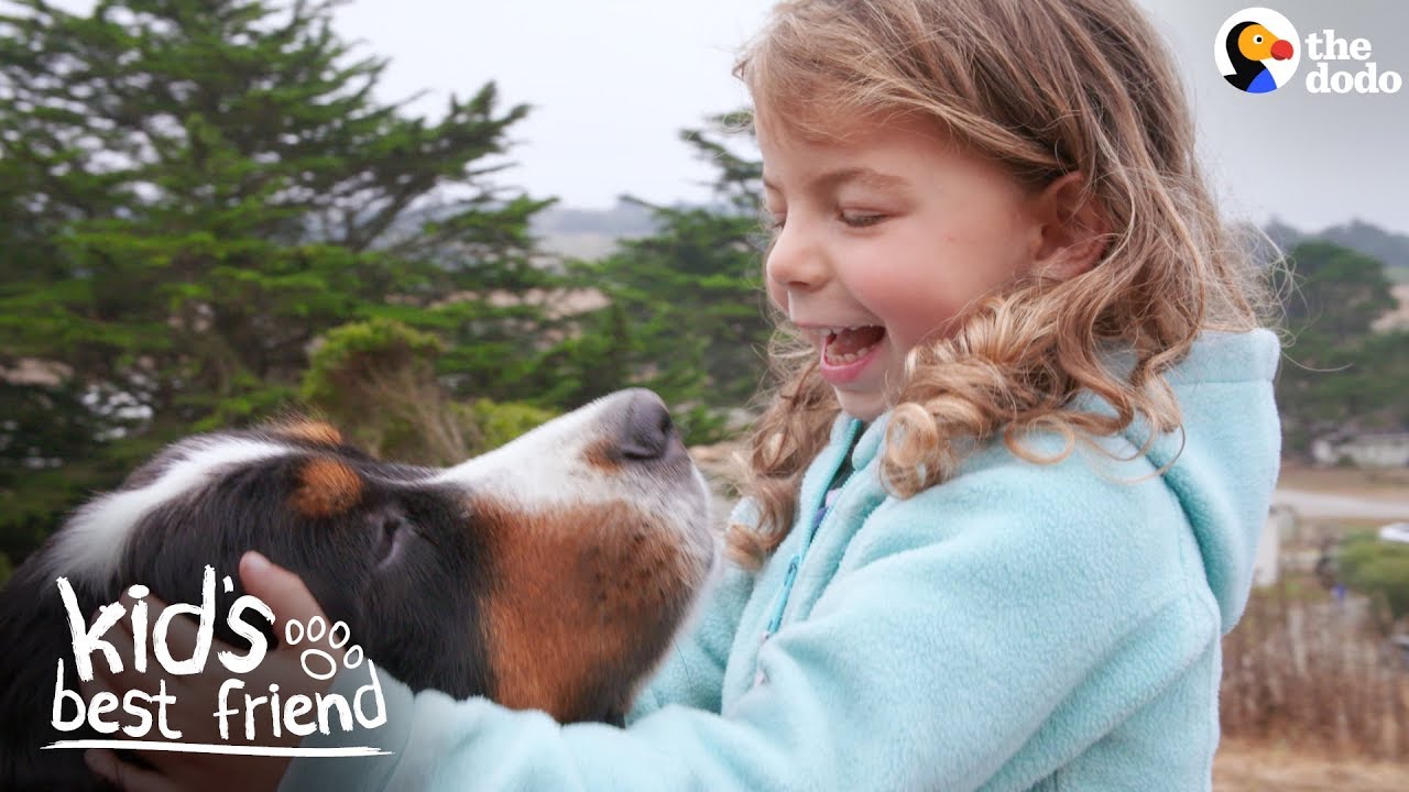 Enormous Dogs Love Taking Care Of Their Little Sister Kid's Best Friend