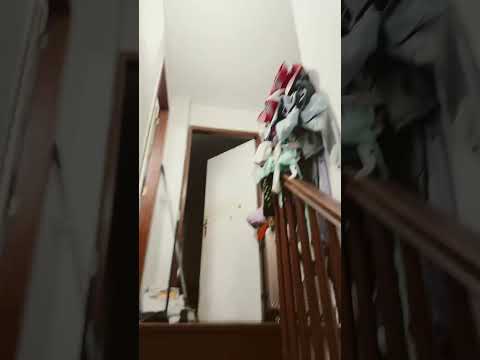 #memes #music #remix #phonkmusic #funk #roblox #robaunbrainrot #humor #yosoydelos7mil queeeeeeeeeeee