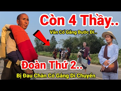 136: Trời Ơi.. 4 Sư Đau Chân Vẫn Cố Gắng Di Chuyển Đến Nơi Thầy Minh Tuệ Dừng Nghỉ Tại Thái Lan