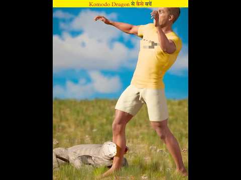 How to survive a Komodo dragon attack