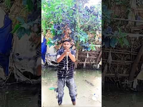 #bolbam #bollywood #bolbamsong