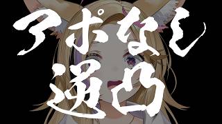 【#尾丸ポルカ6周年】ドキドキ💓アポなし逆凸大会開始‼️☺️【尾丸ポルカ/ホロライブ】