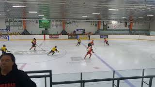 RHL City Playdowns: HL U18 Lawfield Penguins vs U18 Chedoke Oilers - March 18th, 2025