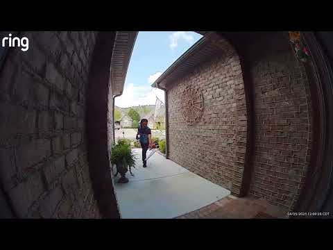 Amazon Driver Throws Delivery Package