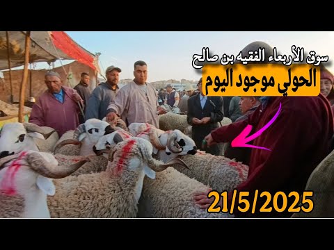 مباشرة من سوق الأربعاء الفقيه بن صالح الحولي والحولية والنعجة تاريخ 21/5/2025 مع الأثمنة وشكرا 🐑🐏🇲🇦