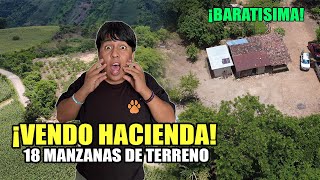 FINCA EN VENTA 18 manzanas de terreno cultivadas con 300 palos de limon, aguacates y anonas