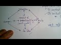 Understanding Proportional Relationships